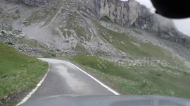 almost killed a marmot