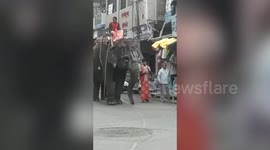 Tea-loving elephant visits shop to quench thirst in central India