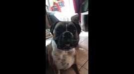 NO walkies during Lockdown!?