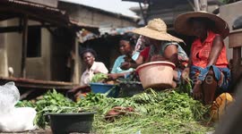 Women Selling Vegetable in Lagos Market 2
