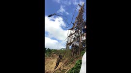 Death-defying 'land-jumping' ritual seen on island of Vanuatu