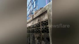 Monitor Lizard On Garden Wall Splashed With Water