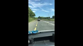 Cars diverted after turnips spill out of truck in Drogheda, Ireland