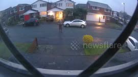 very strange neighbour