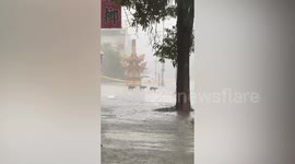 Heartbreaking moment family of dogs struggled through rainstorm in Taiwan