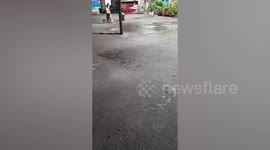 Pet Shih Tzu's Covered In Mud After Playing Outside