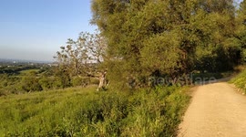 Nature as birds sing