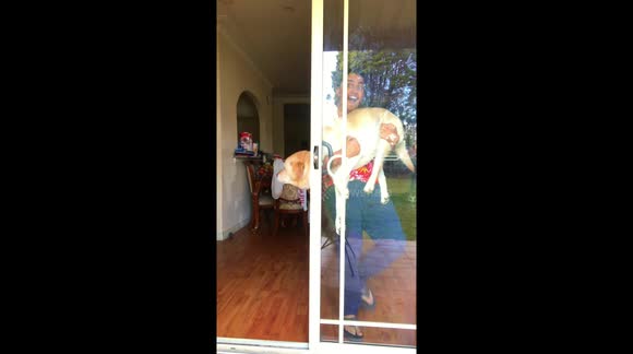 Cute Magic Tricks With My Dog !!