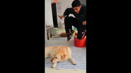 Pranking my Cute Dog With Magic Tricks!!