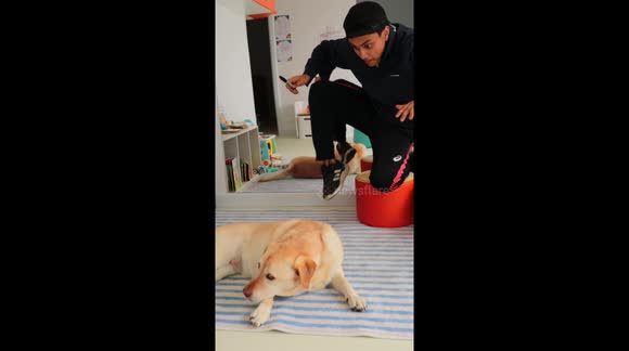 Pranking my Cute Dog With Magic Tricks!!