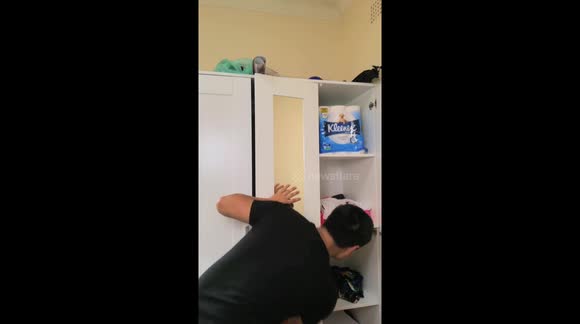 Funny Shrinking Toilet Paper Magic Tricks!!