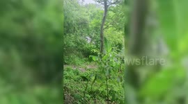 Filipino man frantically swims after car washed away by river with driver trapped inside