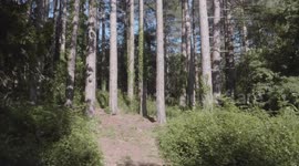 Foresta di Fiorentini - Sardegna