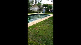 Video shows water in pool shaking during earthquake in Mexico
