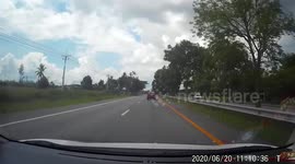 Quick-thinking driver dodges tree that falls down into road