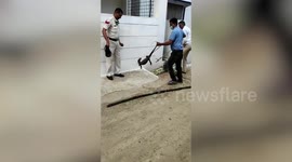 Forest department officials rescue monitor lizard from neighbourhood in central India