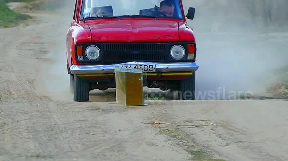 Car vs aquarium is the showdown you didn't know you wanted but need