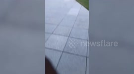 A black photographer was thrown out of President Trump’s campaign rally