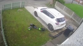 Funny video shows dog jumping out of first-floor bedroom window