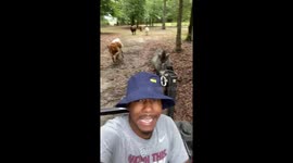 'Have a good day!' US farmer being followed by animals at feeding time is a vibe