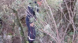 Pompiers sauvetage chien