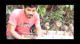 OS 4 SAPOS CURURUS INTELIGENTES SENTADOS EM CADEIRINHAS.