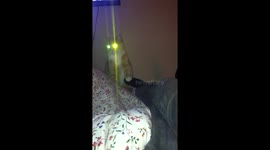Supercat with laser eyes