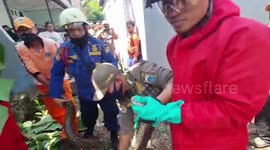 Massive three-metre long python stuck in pipe at Indonesian family home