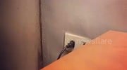 temp
