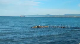 Near the sea in Greece