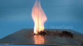 These colourful science experiments will pique your curiosity