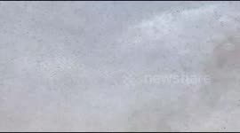 Swarms Of Desert Locusts Reach Delhi Outskirts After Gurugram