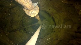 Take a deep dive into this 18th century well in rural England