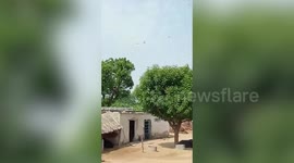Dense locust swarms cover farms and villages in northwest India
