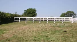 The mum of showjumping twins has bred 'twin' foals