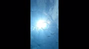 temp