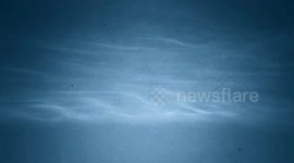 Noctilucent Clouds filmed with Night Vision over the UK