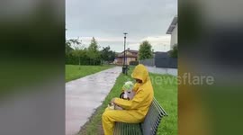 Mini bull terrier wears goggles with windscreen wipers