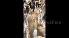 Adrenaline junkie and his adventurous rescue dog scale mountains and zipline over fast-flowing river