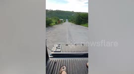 Determined dogs given intense exercise while owner rides in car