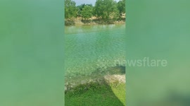 Malaysian river crystal clear due to COVID-19 lockdown