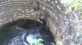 Indian reptile catcher falls in well when trying to rescue snake