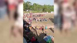 Runner headbutted and trampled at cow race in Indonesia