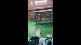 Mad because not allowing to play in the rain