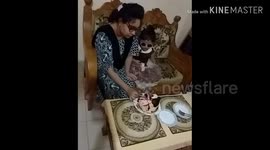 Barday on my sister doter very fun l realy mess thies day