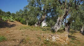 Pan shot of Stanley Johnson Villa Irene near Horto Greece