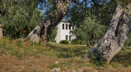 General view of Stanley Johnson Greek Villa Irene