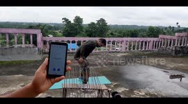 watch - Man in India famous as a hammer head man bends Seventeen 12mm iron rods from his back in a world record attempt