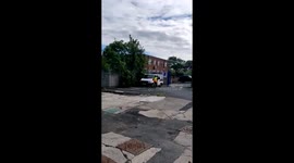 'Steven Seagull': Angry bird attacks man trying to get to car in Blackpool