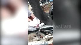 Police seize several alcohol bottles from bootlegger in northern India